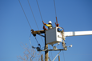 Energy Utility, Lineman