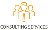 consulting services